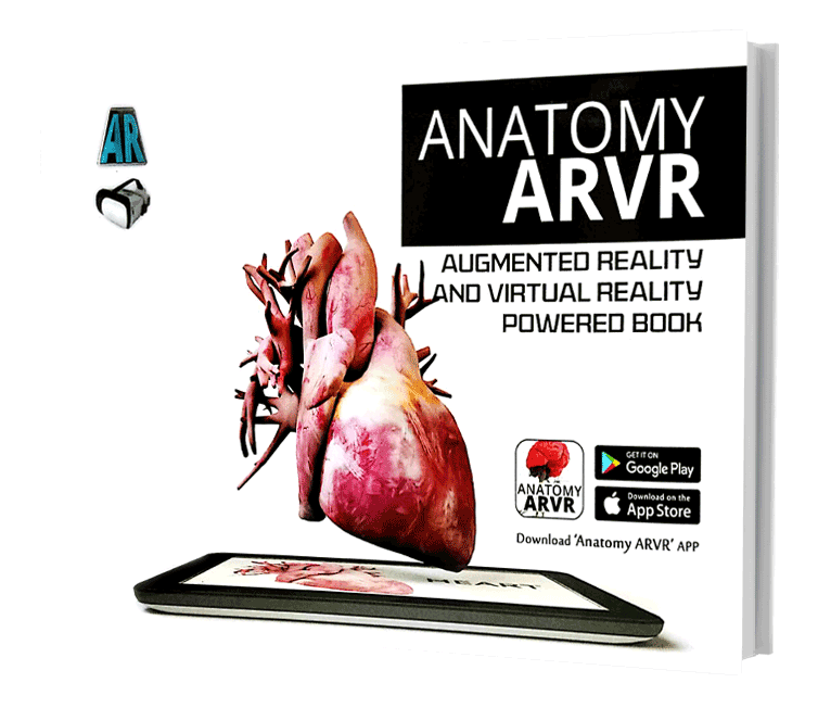 Anatomy ARVR